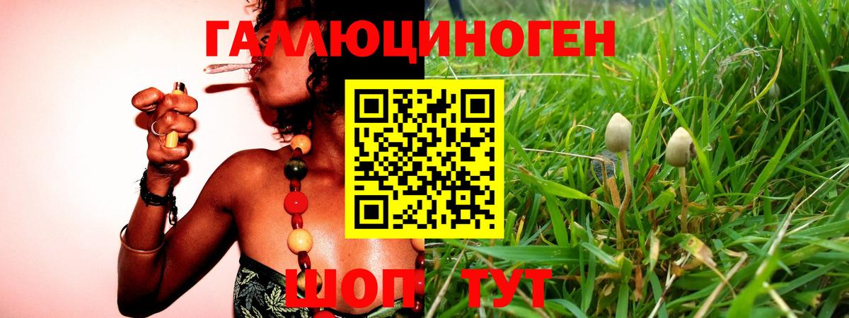 Галлюциногенные грибы ЛСД  Вход с VPN  Магадан 